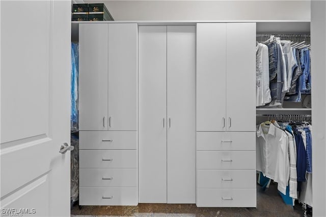 7478 Winding Cypress Dr, Naples, FL 34114 - view of closet