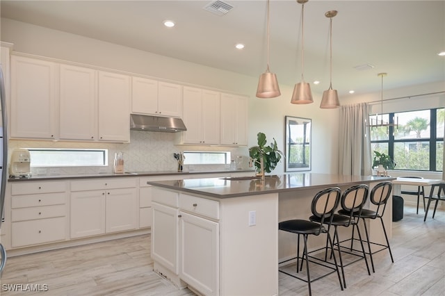 4442 Battlecreek Way, Ave Maria, FL 34142 - kitchen featuring under cabinet range hood, a kitchen island, backsplash, white cabinetry, and light wood-style floors