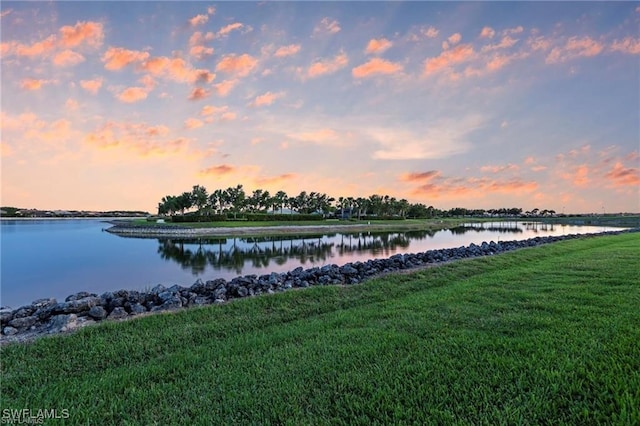 20749 Corkscrew Shores Blvd, Estero, FL 33928 - photo 31