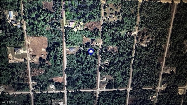 2109 Moore Ave, Alva, FL 33920 - photo 4