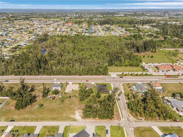 1002 SW 15th Pl, Cape Coral, FL 33991