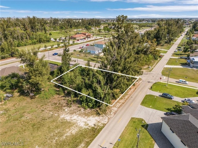 1002 SW 15th Pl, Cape Coral, FL 33991