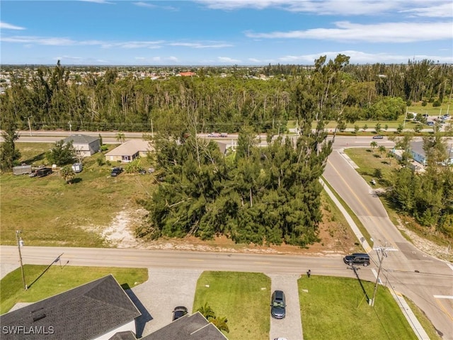 1002 SW 15th Pl, Cape Coral, FL 33991