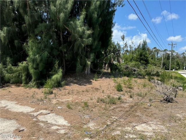 1002 SW 15th Pl, Cape Coral, FL 33991