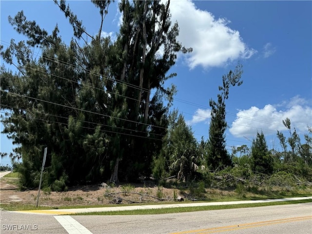 1002 SW 15th Pl, Cape Coral, FL 33991