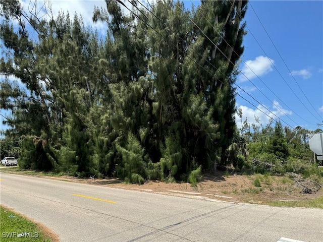 1002 SW 15th Pl, Cape Coral, FL 33991