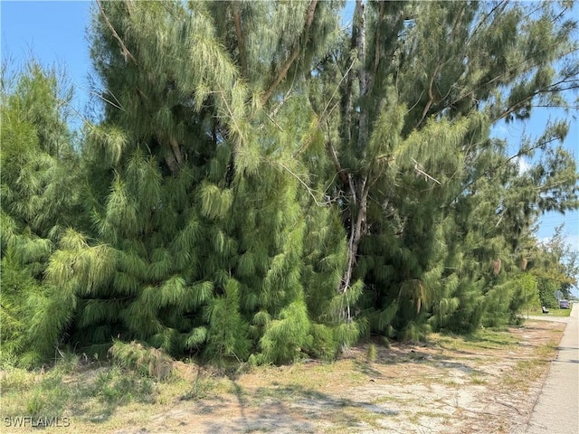 1002 SW 15th Pl, Cape Coral, FL 33991