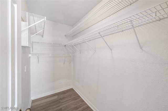 27924 Quinn St, Bonita Springs, FL 34135 - walk in closet featuring wood finished floors