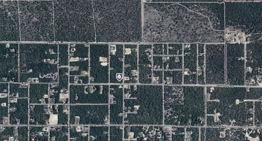 11269 Tinamou Ave, Weeki Wachee, FL 34614