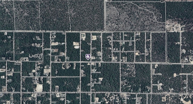 11269 Tinamou Ave, Weeki Wachee, FL 34614