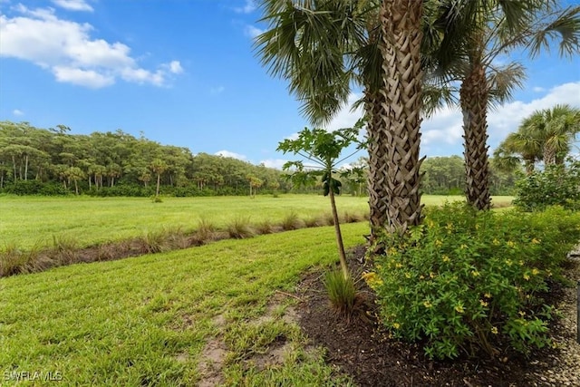 5701 Mayflower Way Unit 1307, Ave Maria, FL 34142 - photo 24