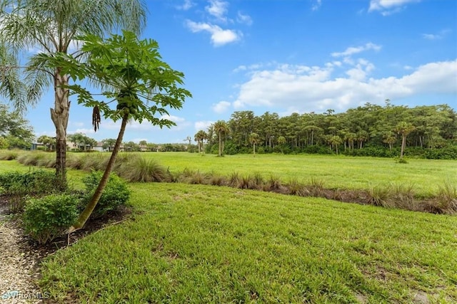 5701 Mayflower Way Unit 1307, Ave Maria, FL 34142 - photo 23