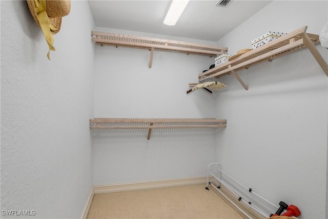 24619 Ivory Cane Dr Unit 203, Bonita Springs, FL 34134 - photo 21
