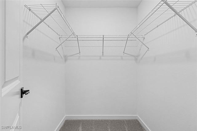 735 La Plata Ave, Lehigh Acres, FL 33974 - view of spacious closet