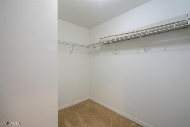 12573 Laurel Cove Dr, Fort Myers, FL 33913 - photo 21