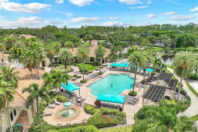 2434 Butterfly Palm Dr, Naples, FL 34119 - view of pool