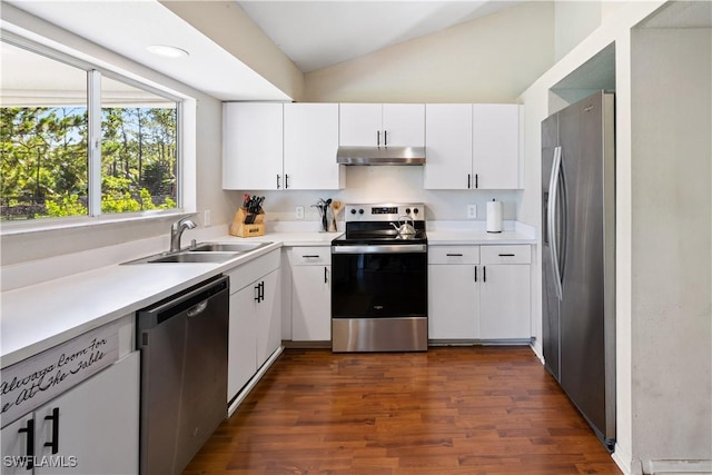3715 41st Ave NE, Naples, FL 34120 - kitchen with stainless steel appliances, under cabinet range hood, vaulted ceiling, dark wood-type flooring, and light countertops