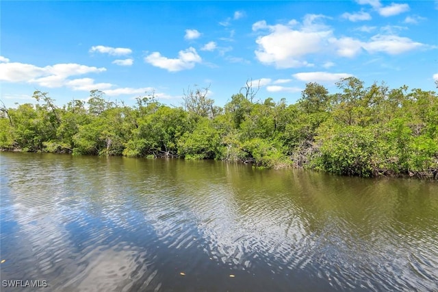 4911 Esplanade St, Bonita Springs, FL 34134 - water view