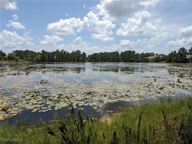 1045 Marathon Ave S, Lehigh Acres, FL 33974 - photo 3