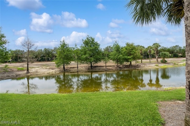 11081 Corsia Trieste Way Unit 104, Bonita Springs, FL 34135 - photo 38