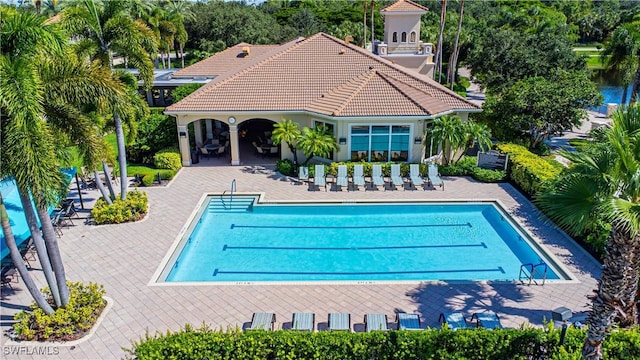 1381 Areca Cv, Naples, FL 34119 - community pool with a patio area