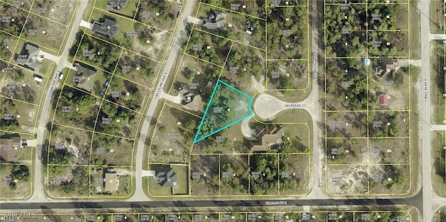747 Delridge Ct, Lehigh Acres, FL 33974 - photo 3