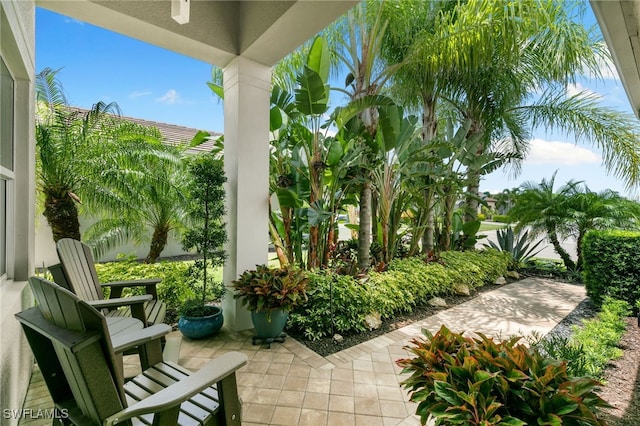 28507 Montecristo Loop, Bonita Springs, FL 34135 - photo 4