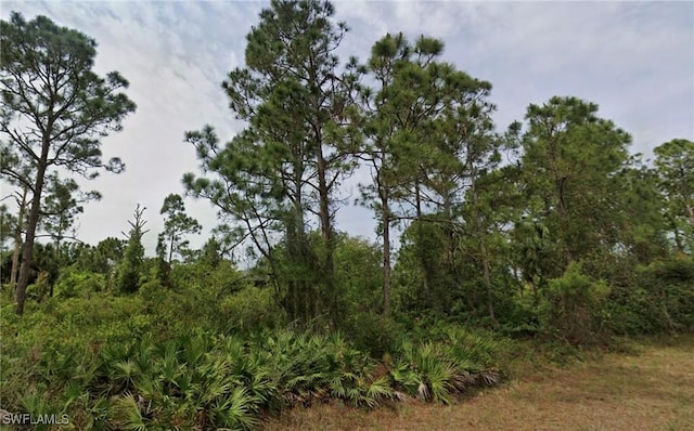 1114 Eclipse St E, Lehigh Acres, FL 33974 - photo 1