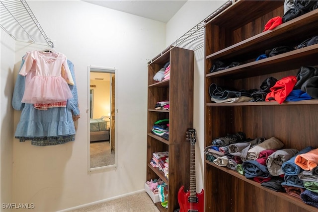 1014 Pine Isle Ln Unit 1014, Naples, FL 34112 - spacious closet featuring carpet floors