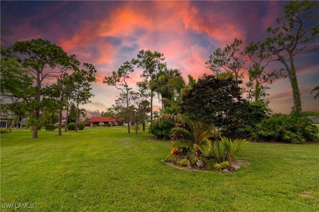 1014 Pine Isle Ln Unit 1014, Naples, FL 34112 - view of green lawn