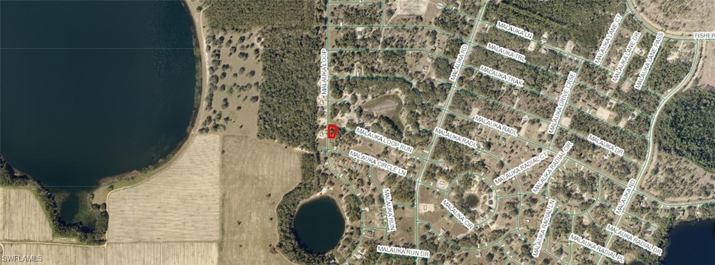 9031-0945-15 Malauka Loop Run, Ocklawaha, FL 32179