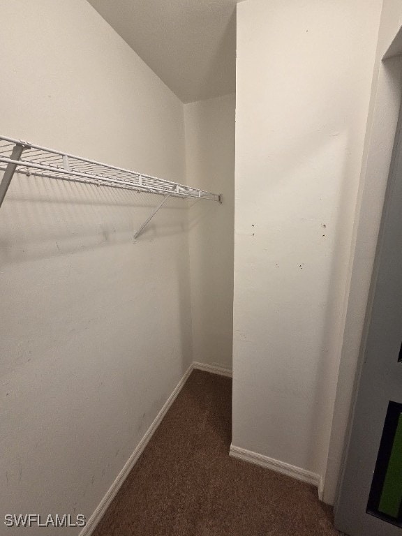 3022 34th St SW, Lehigh Acres, FL 33976 - spacious closet featuring carpet flooring