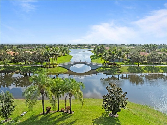 28195 Jewel Fish Ln, Bonita Springs, FL 34135 - photo 6