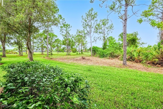 4776 Fairloop Run, Lehigh Acres, FL 33973 - view of grassy yard