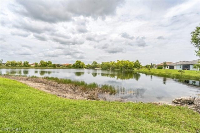 1801 Hagen Ct, Naples, FL 34120 - water view