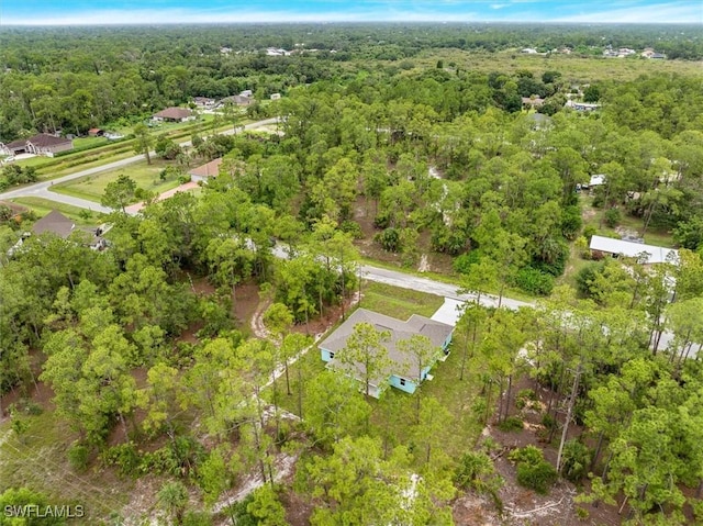 808 Michael Ave, Lehigh Acres, FL 33936 - photo 32