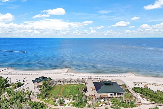23751 Merano Ct Unit 201, Estero, FL 34134 - drone / aerial view of expansive coastline