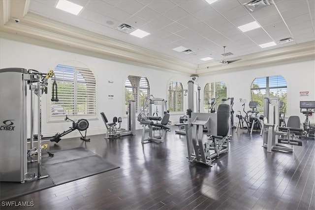 20333 Cypress Shadows Blvd, Estero, FL 33928 - exercise room featuring a paneled ceiling, a raised ceiling, ornamental molding, and wood finished floors