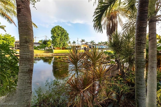 826 Monticello Ct, Cape Coral, FL 33904 - photo 39