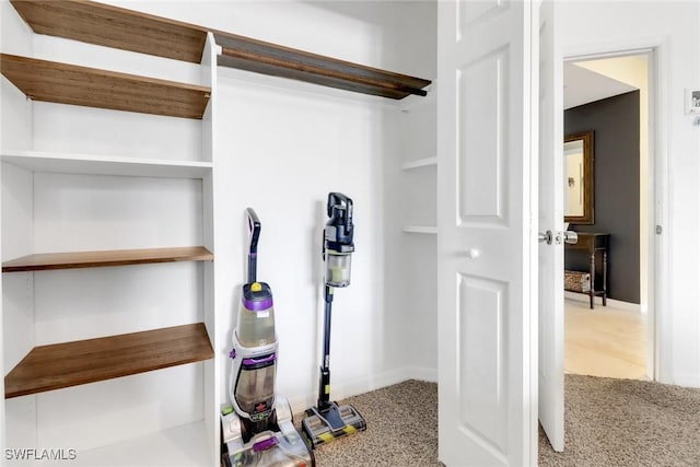 20310 Estero Gardens Cir Unit 203, Estero, FL 33928 - view of closet