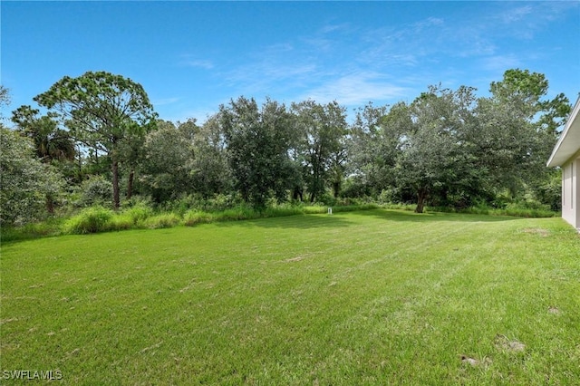1417 Acacia Ave, Lehigh Acres, FL 33972 - view of green lawn
