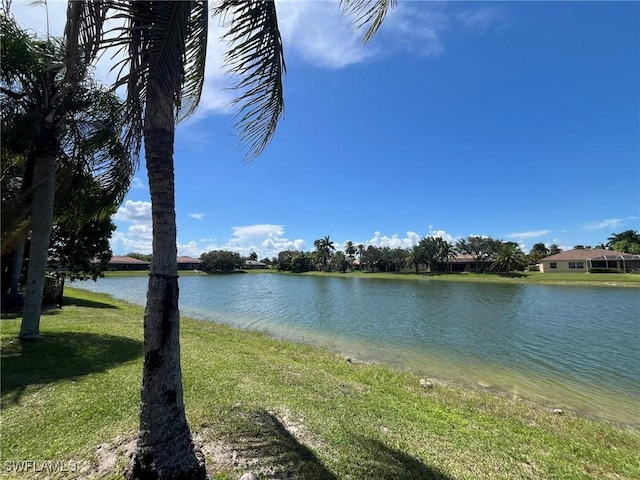 812 Grand Rapids Blvd, Naples, FL 34120 - water view