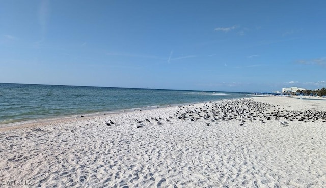 7117 Pelican Bay Blvd Unit Ph-16, Naples, FL 34108 - photo 4