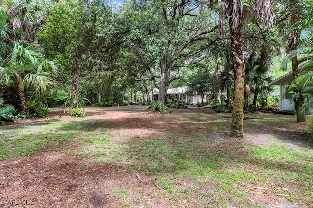 3110 10th Ave SE, Naples, FL 34117 - view of yard