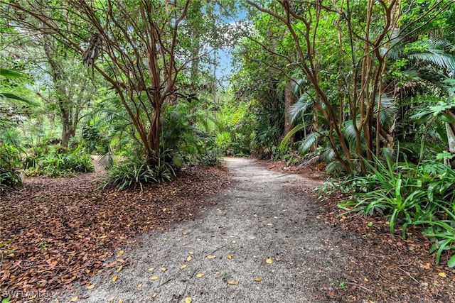 3110 10th Ave SE, Naples, FL 34117 - view of road