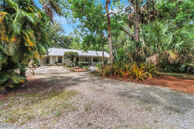 3110 10th Ave SE, Naples, FL 34117 - view of front of property featuring driveway