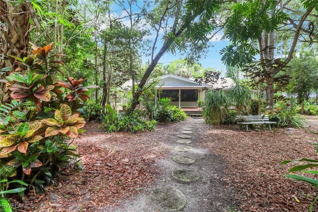3110 10th Ave SE, Naples, FL 34117 - view of yard featuring a sunroom