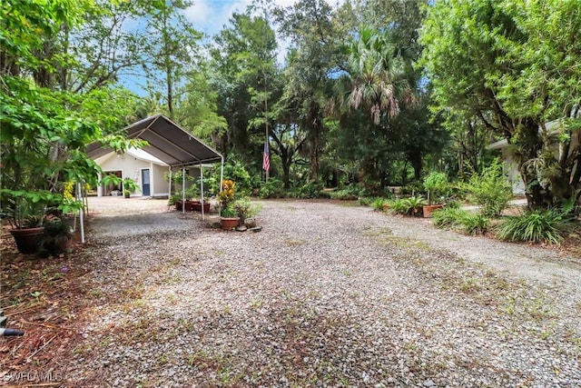 3110 10th Ave SE, Naples, FL 34117 - view of yard