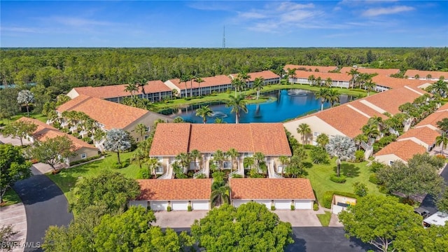 2370 Magnolia Ave Unit 6807, Naples, FL 34112 - bird's eye view of a large body of water and a forest