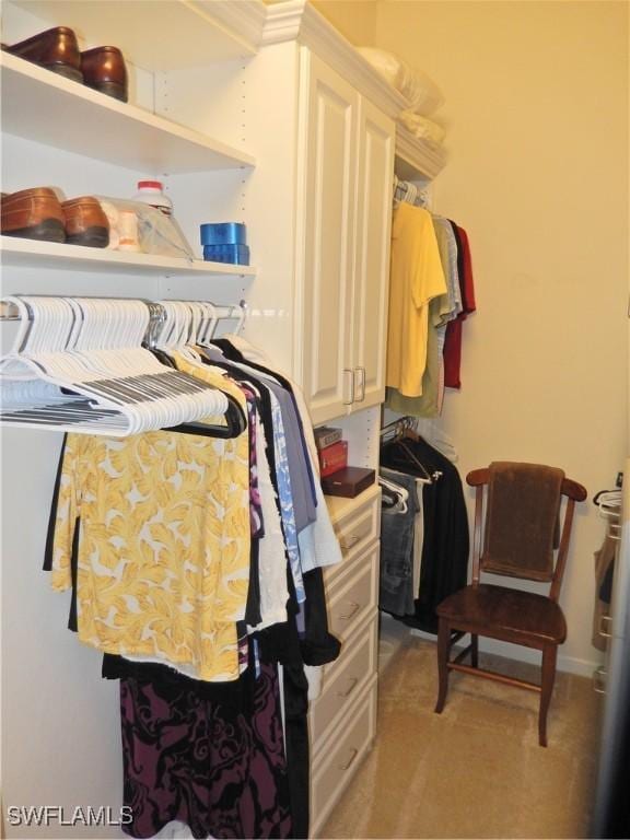 11775 Avingston Ter, Fort Myers, FL 33913 - view of walk in closet